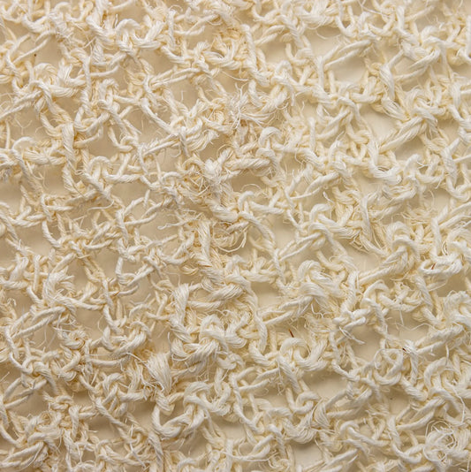 Ayate Exfoliating Soap Saver | 2 Pack